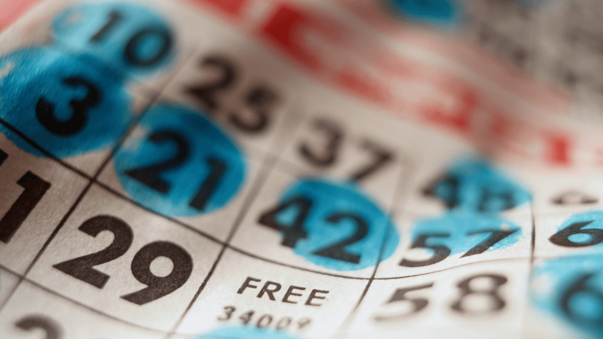 Gjithçka rreth kartave dhe telefonatave Bingo Online image