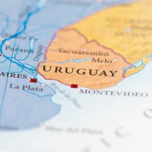 Uruguai i afrohet legalizimit të kazinove në internet