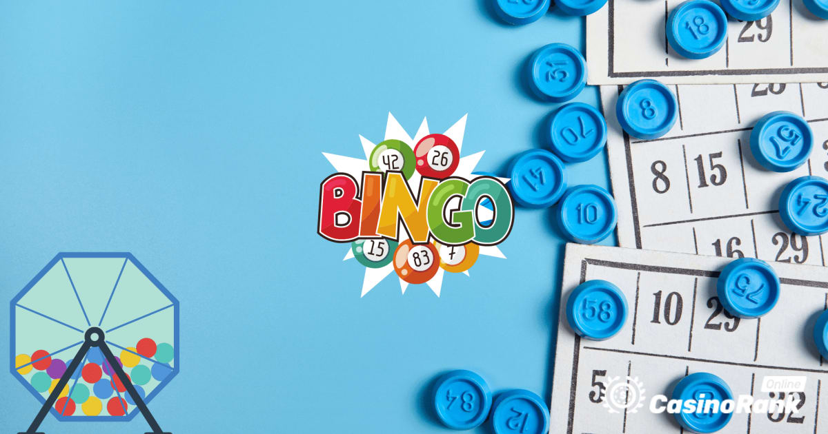 10 fakte interesante rreth Bingos qÃ« ndoshta nuk i dinit
