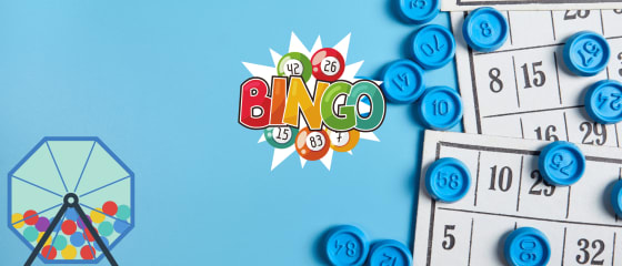 10 fakte interesante rreth Bingos që ndoshta nuk i dinit