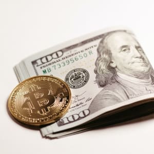 Crypto vs monedha të rregullta, cilat duhet të përdoren në kazinotë në internet
