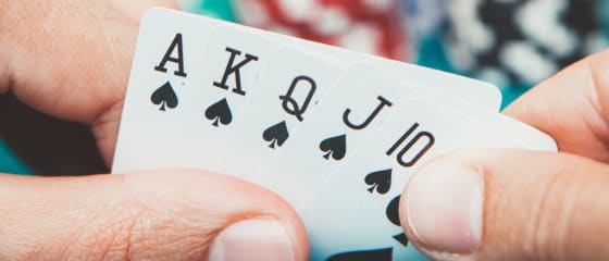 Duart fituese të pokerit